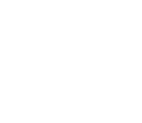 logo secret professionnel